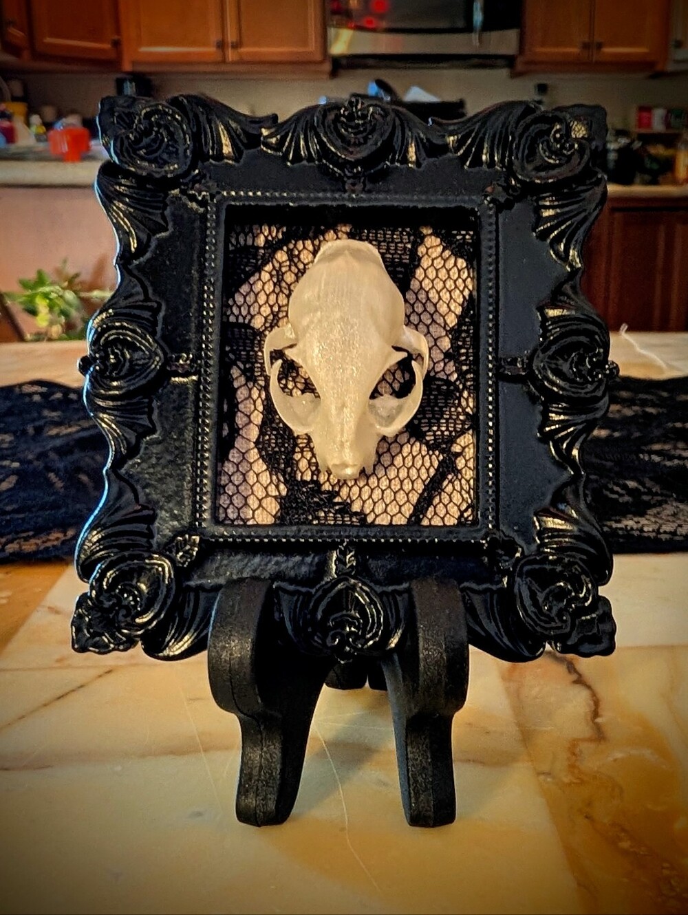 Black wood ornate mini frame on easel with 3D printed kitten skull, on lace back